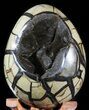 Septarian Dragon Egg Geode - Black Crystals #48004-1